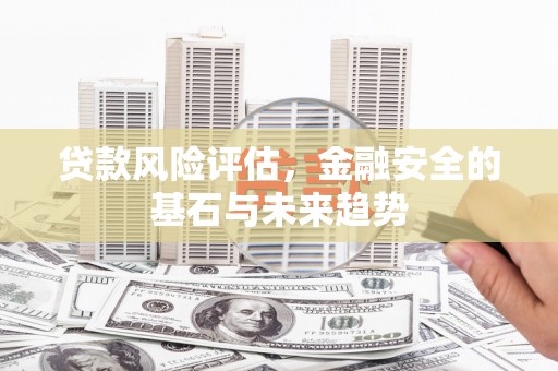 鄯善贷款风险评估，金融安全的基石与未来趋势