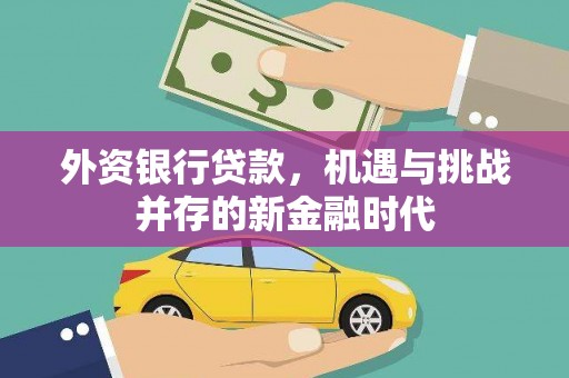 鄯善外资银行贷款，机遇与挑战并存的新金融时代