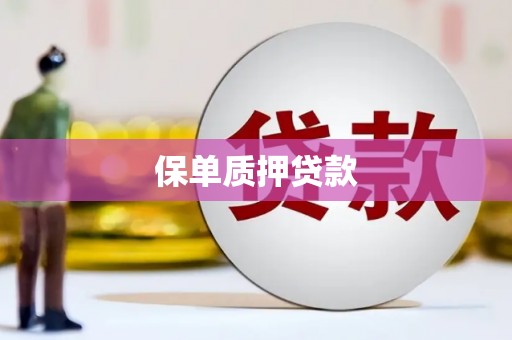 鄯善保单质押贷款