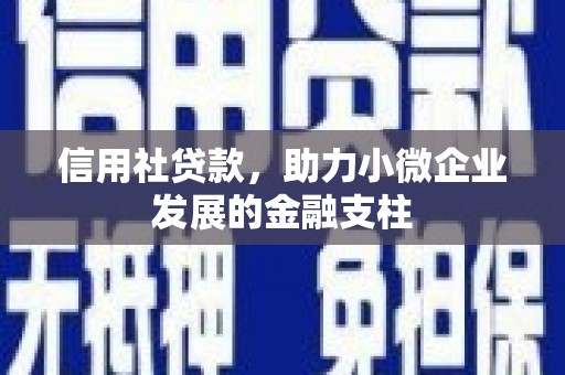 鄯善信用社贷款，助力小微企业发展的金融支柱