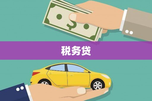 鄯善税务贷