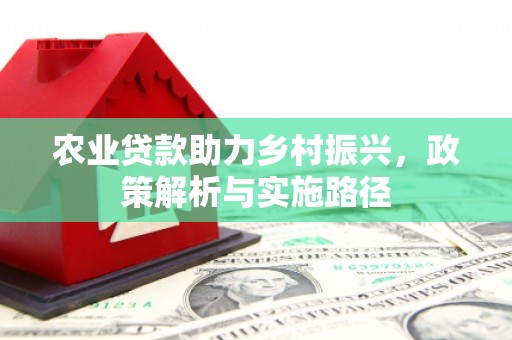 鄯善农业贷款助力乡村振兴，政策解析与实施路径