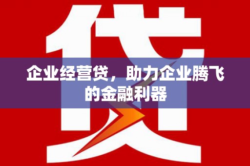 鄯善企业经营贷，助力企业腾飞的金融利器
