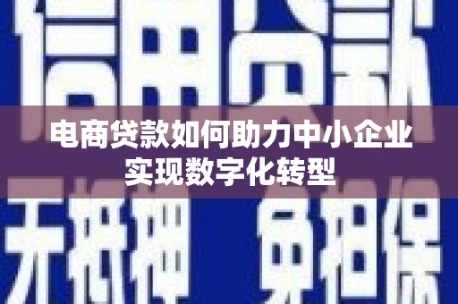 鄯善电商贷款如何助力中小企业实现数字化转型