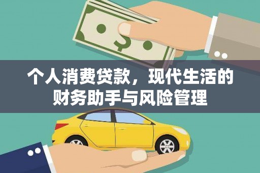 鄯善个人消费贷款，现代生活的财务助手与风险管理