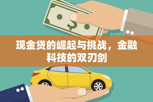 鄯善现金贷的崛起与挑战，金融科技的双刃剑