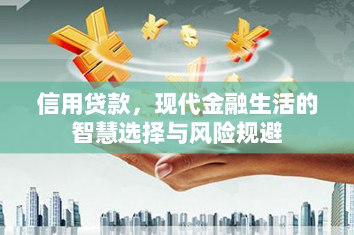 鄯善信用贷款，现代金融生活的智慧选择与风险规避