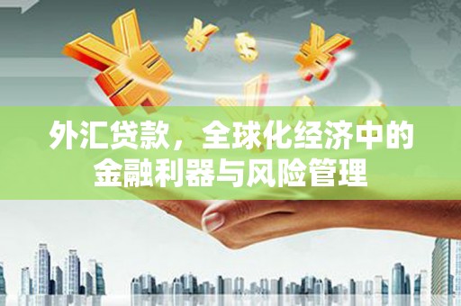 鄯善外汇贷款，全球化经济中的金融利器与风险管理