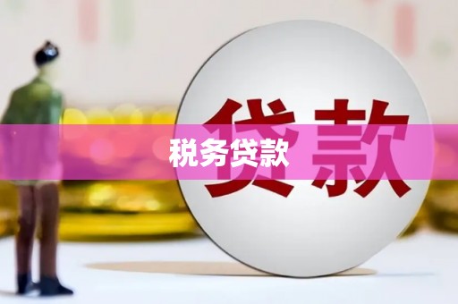 鄯善税务贷款