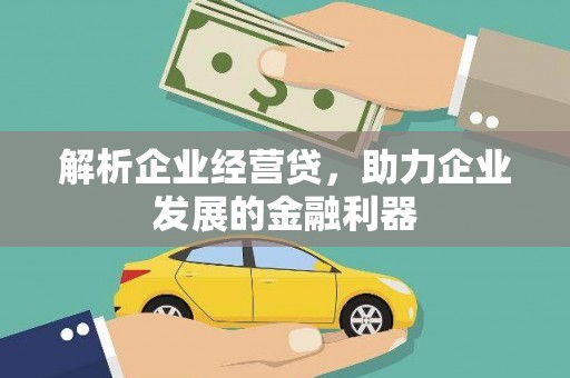 鄯善解析企业经营贷，助力企业发展的金融利器