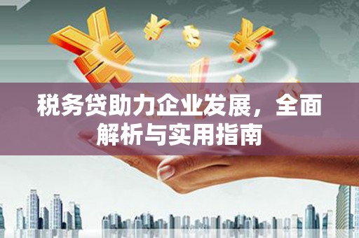鄯善税务贷助力企业发展，全面解析与实用指南