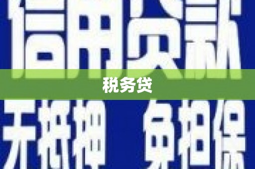 鄯善税务贷