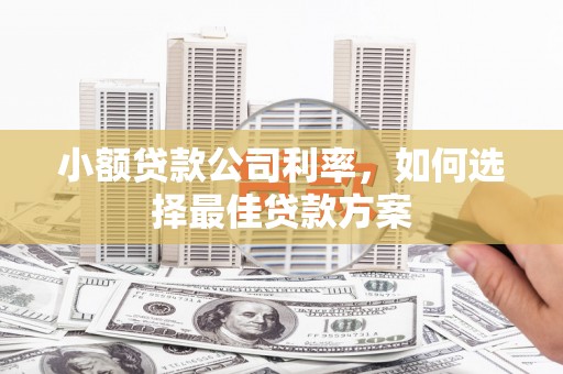 鄯善小额贷款公司利率，如何选择最佳贷款方案