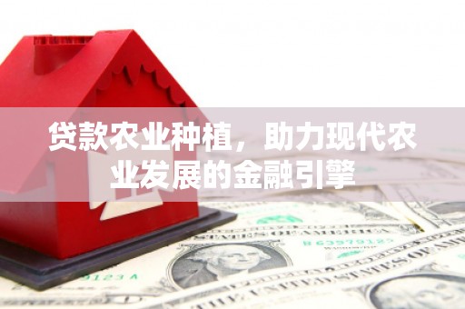 鄯善贷款农业种植，助力现代农业发展的金融引擎