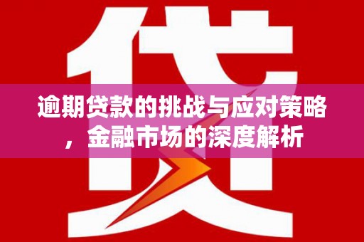 鄯善逾期贷款的挑战与应对策略，金融市场的深度解析