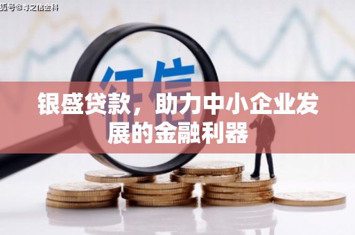鄯善银盛贷款，助力中小企业发展的金融利器