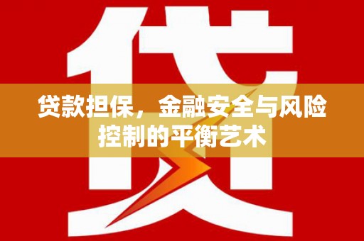 鄯善贷款担保，金融安全与风险控制的平衡艺术