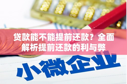鄯善贷款能不能提前还款？全面解析提前还款的利与弊