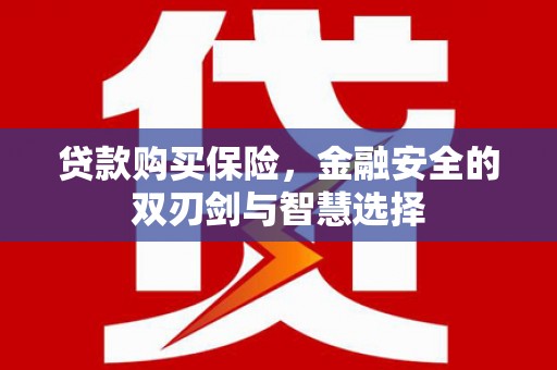 鄯善贷款购买保险，金融安全的双刃剑与智慧选择