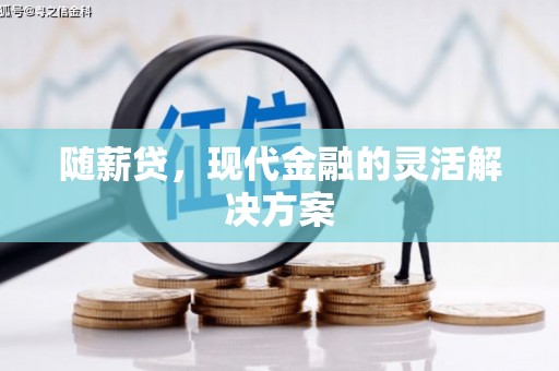 鄯善随薪贷，现代金融的灵活解决方案