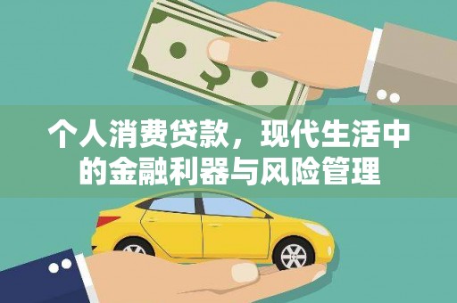 鄯善个人消费贷款，现代生活中的金融利器与风险管理