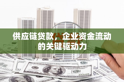 鄯善供应链贷款，企业资金流动的关键驱动力