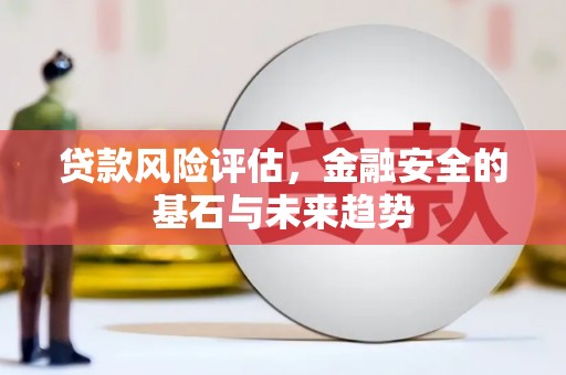 鄯善贷款风险评估，金融安全的基石与未来趋势
