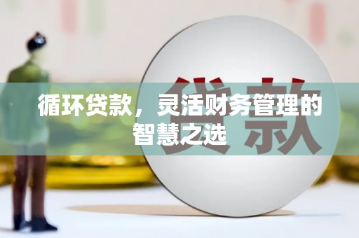 鄯善循环贷款，灵活财务管理的智慧之选
