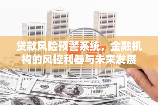 鄯善贷款风险预警系统，金融机构的风控利器与未来发展