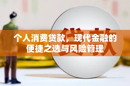 鄯善个人消费贷款，现代金融的便捷之选与风险管理