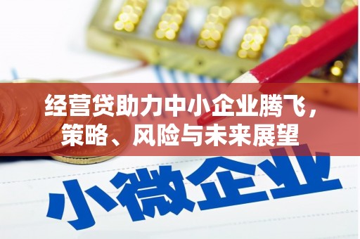 鄯善经营贷助力中小企业腾飞，策略、风险与未来展望