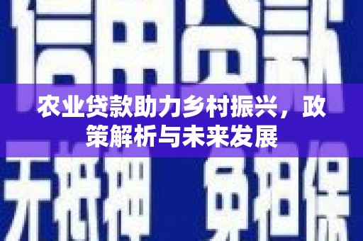 鄯善农业贷款助力乡村振兴，政策解析与未来发展