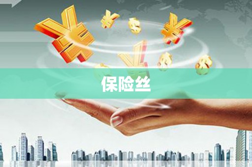 鄯善保险丝