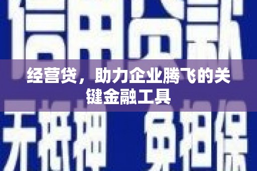 鄯善经营贷，助力企业腾飞的关键金融工具