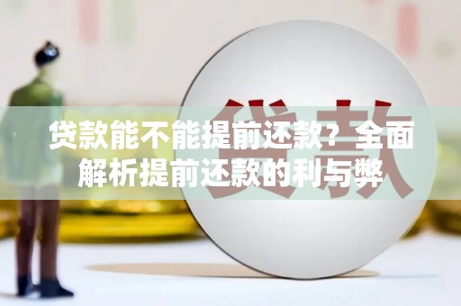 鄯善贷款能不能提前还款？全面解析提前还款的利与弊