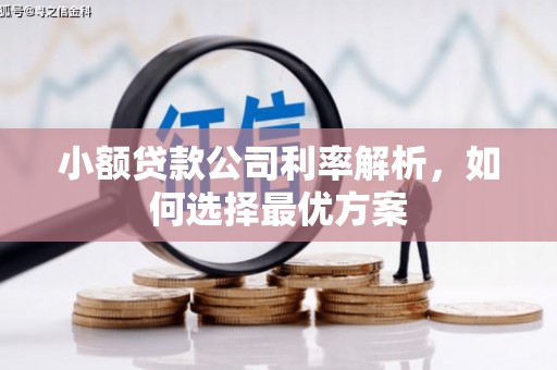 鄯善小额贷款公司利率解析，如何选择最优方案