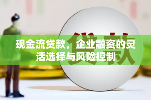 鄯善现金流贷款，企业融资的灵活选择与风险控制