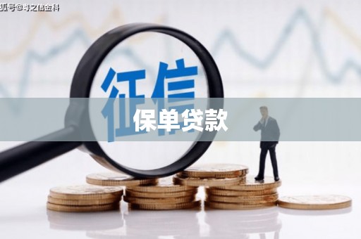 鄯善保单贷款