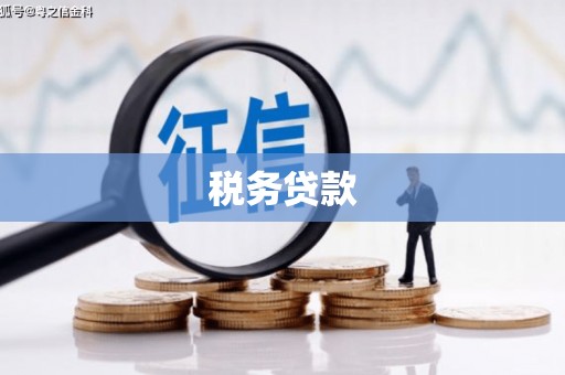 鄯善税务贷款