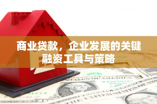 鄯善商业贷款，企业发展的关键融资工具与策略