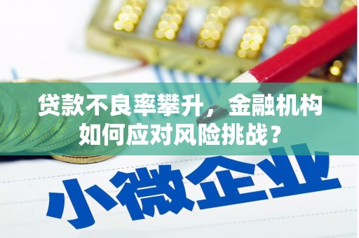 鄯善贷款不良率攀升，金融机构如何应对风险挑战？