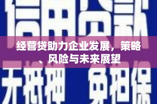 鄯善经营贷助力企业发展，策略、风险与未来展望