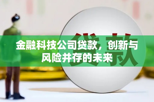 鄯善金融科技公司贷款，创新与风险并存的未来