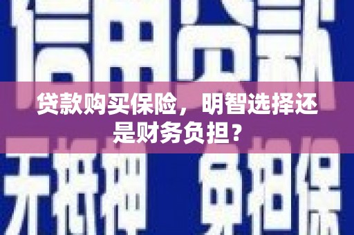 鄯善贷款购买保险，明智选择还是财务负担？