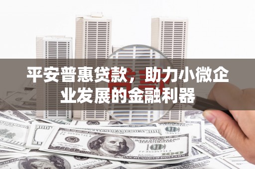 鄯善平安普惠贷款，助力小微企业发展的金融利器