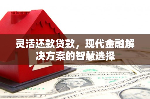 鄯善灵活还款贷款，现代金融解决方案的智慧选择