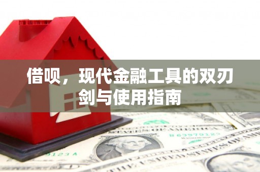 鄯善借呗，现代金融工具的双刃剑与使用指南