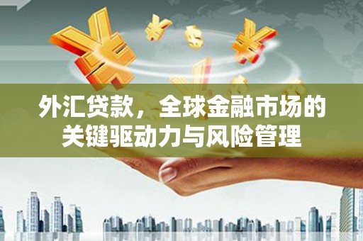 鄯善外汇贷款，全球金融市场的关键驱动力与风险管理