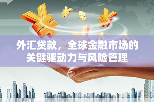 鄯善外汇贷款，全球金融市场的关键驱动力与风险管理