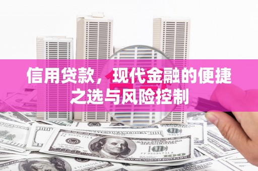 鄯善信用贷款，现代金融的便捷之选与风险控制